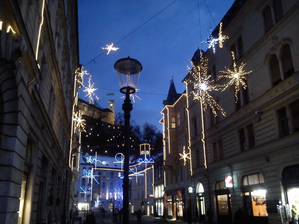 Apartment Tagrajska Ljubljana Oda fotoğraf