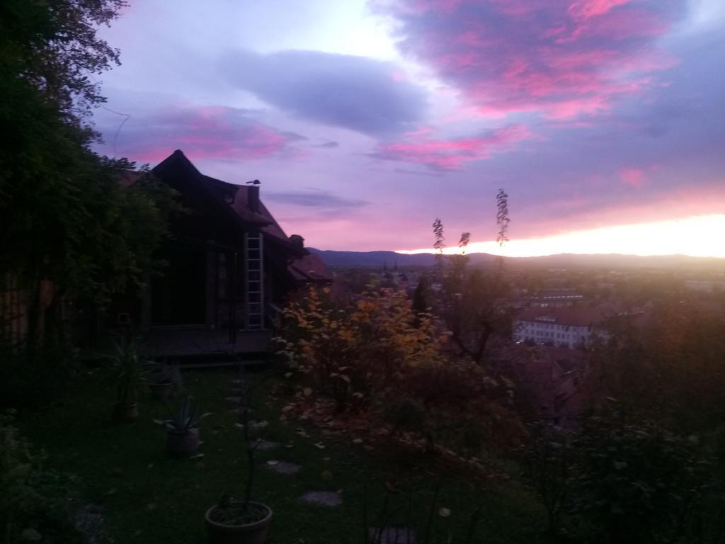 Apartment Tagrajska Ljubljana Dış mekan fotoğraf